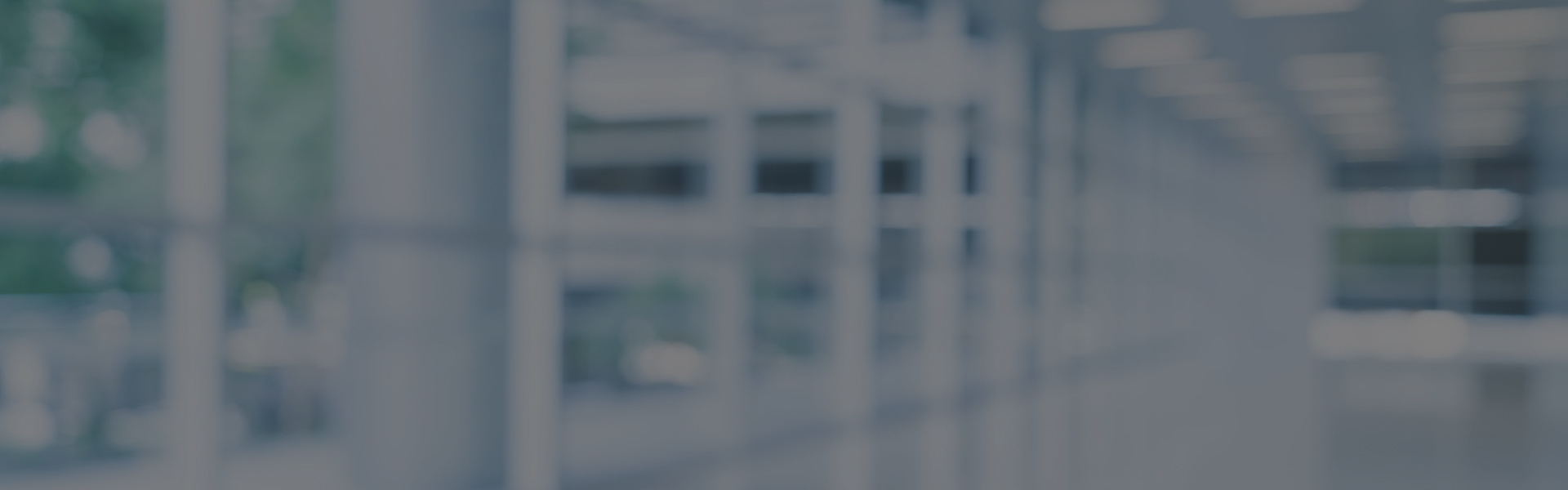 Banner 1